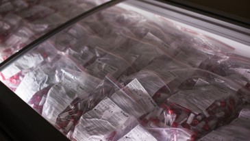 Запас готовой продукции на складе в наличии